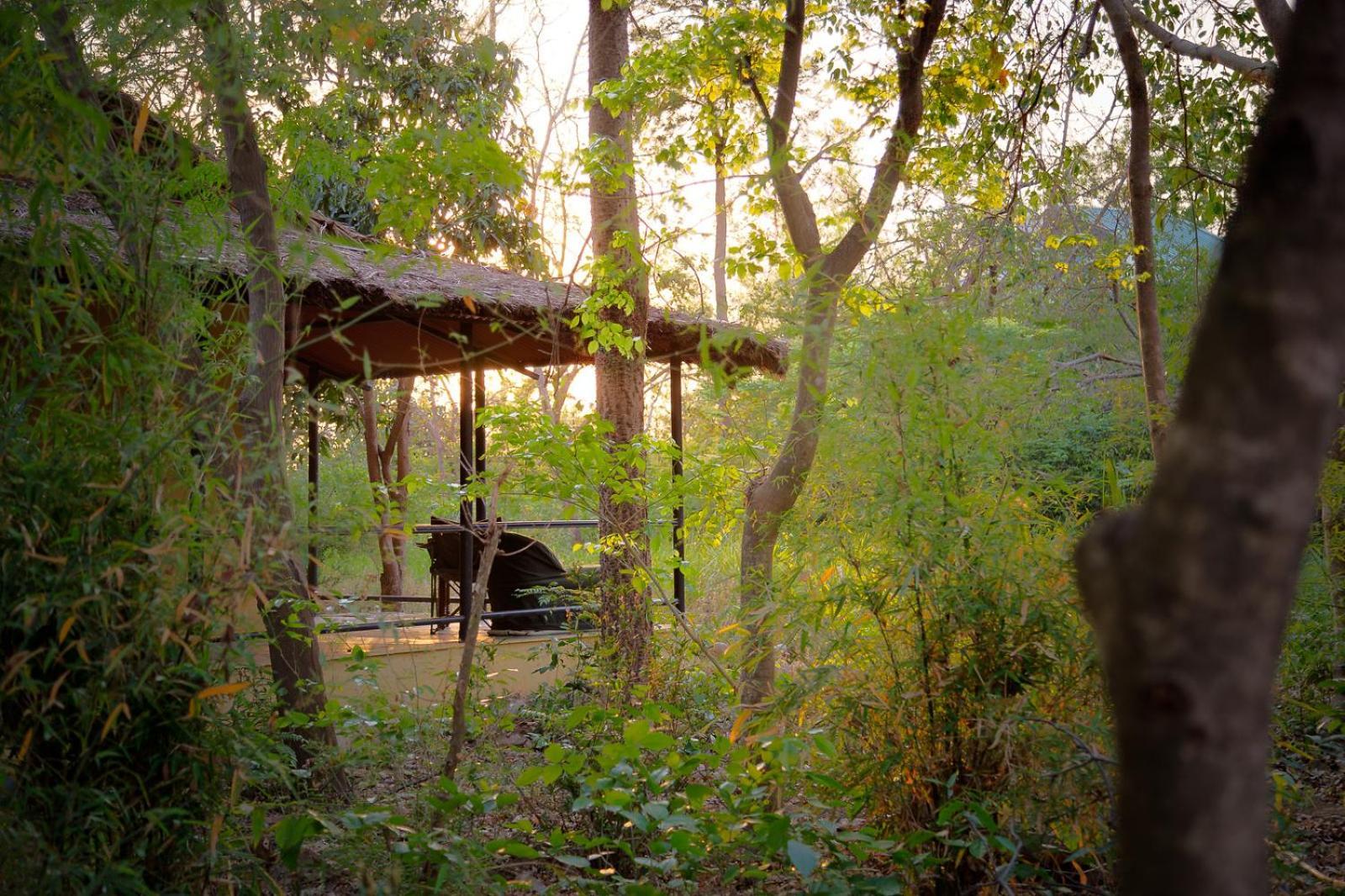 Jim's Jungle Retreat 5*